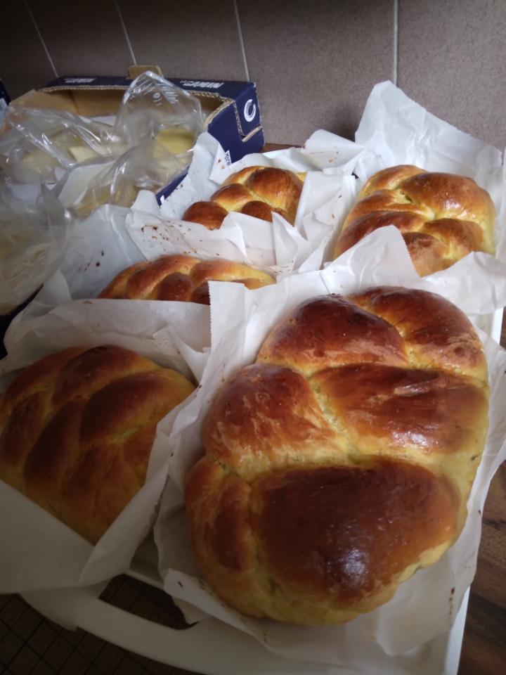 Resized_20240323_143033