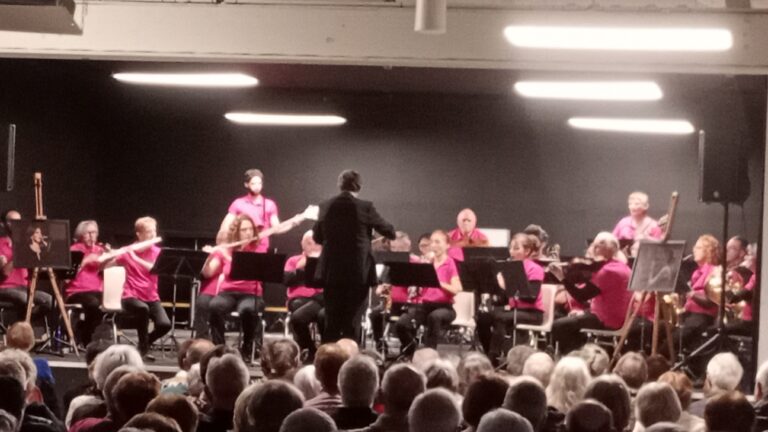 Concert section Vignoble Nantais du 16/11/25